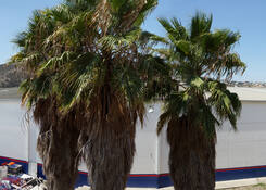 
                                	        TIJ022: Drone view exterior
                                    