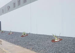 
                                	        MAT006: MAT006 Endemic species landscape
                                    