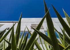 
                                	        MTY030: MTY030 sustainability features include landscaping with low-water consumption plants and endemic species
                                    